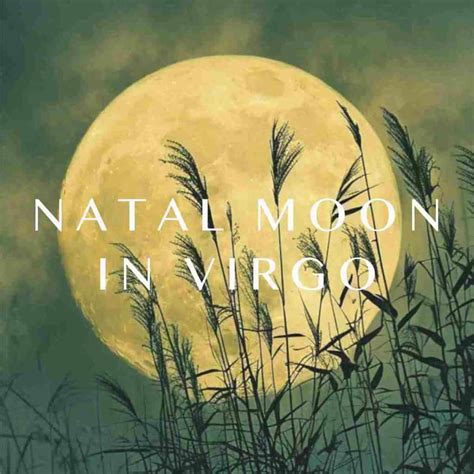 Moon in virgo natal. .  ...