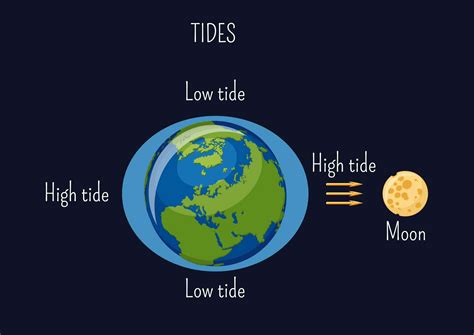 Moon on tides. Before we make a decision on the tide-producing capacity of lakes, we should first understand how waves are formed. Gravity is the most important force that creates tides. In 1687, Sir Isaac Newton explained that ocean tides result from the gravitational attraction of the sun and moon on Earth’s oceans. 