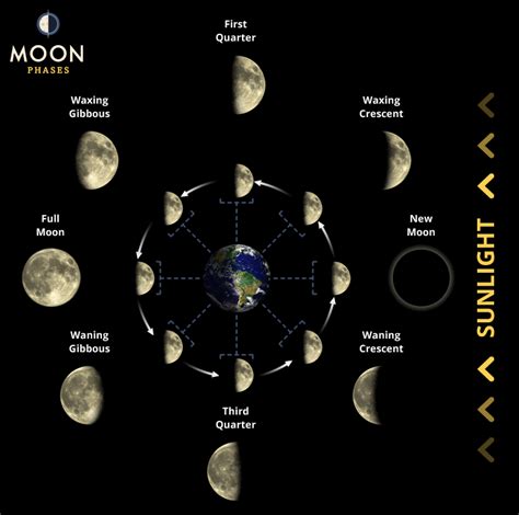 The Moon has phases because it orbits Earth, which causes the portion we see illuminated to change. The Moon takes 27.3 days to orbit Earth, but the lunar phase cycle (from new Moon to new Moon) is 29.5 days. The Moon spends the extra 2.2 days "catching up" because Earth travels about 45 million miles around the Sun during the time the Moon .... Moon phases in october