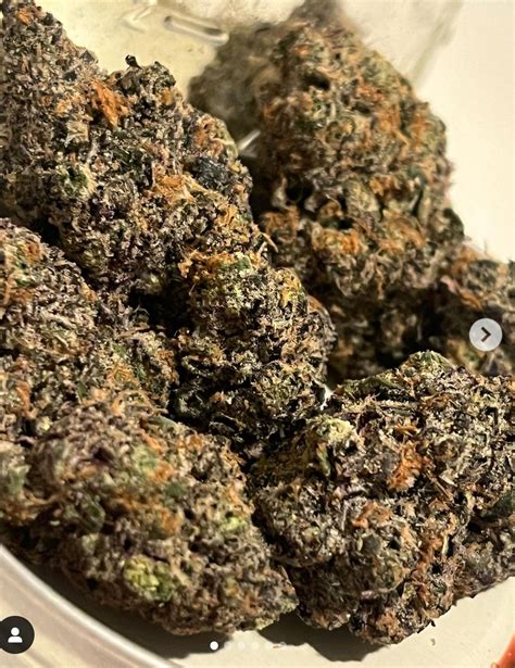 Moon Cookies is a rare indica dominant hybrid strain created as a backcross of the infamous Girl Scout Cookies. This bud packs an out of this world THC level that typically hits an outrageous 33-34% on average and dazzling effects that are not ideal for the inexperienced user. This bud has a powerful cerebral onset that smashes into your mind .... 