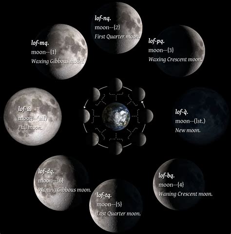 Moon Viewing Guide. The Moon is Earth’s c