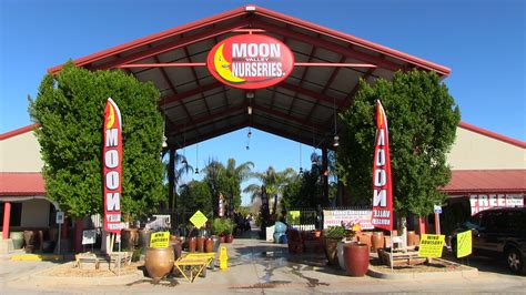 Moon valley nursery locations. Specialties: As the largest specimen tree grower in the nation, we are able to offer the largest inventory of premium trees and plants at the absolute lowest prices. Moon Valley Nursery has the inventory and knowledgeable staff to get every job done. Established in 1995. Moon Valley Nurseries started with one small location in a … 
