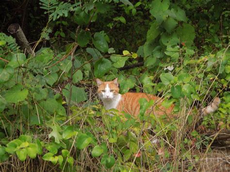 Moon_Light23 Leaks +18 💋 242 Photos