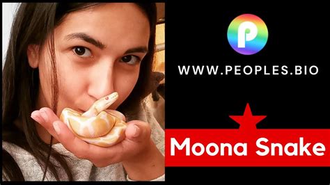 Moona snake. Things To Know About Moona snake. 