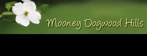 A Mooney Dogwood Hills Farm 33768 Kensington Lane Richland, 65556 . On our farm we raise beautiful and healthy dachshund, maltipoo, and papillon puppies. We have been i. 