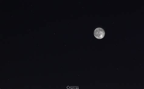 Moonlight_Space Onlyfans Leak