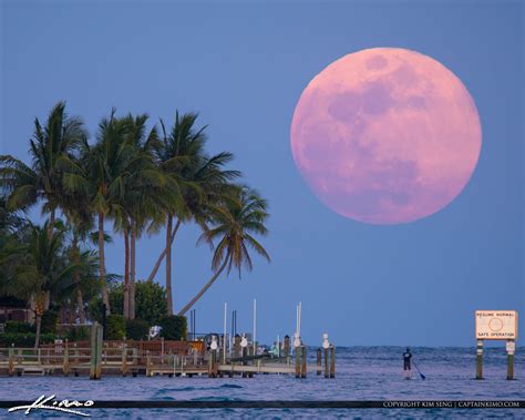 Find out the exact times of sunrise, sunset, moonrise, and moonset in Boca Raton, Florida, USA for any date and season. Learn about the Sun and Moon position, the solar noon, and the twilight phases. Explore the Astronomy API to query more celestial events.. 
