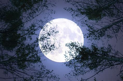 The largest supermoon of 2022 — July's full Buck Moon — rises above the eastern horizon tonight. It will make for a striking skywatching sight as "supermoons shine about 16% brighter and .... 