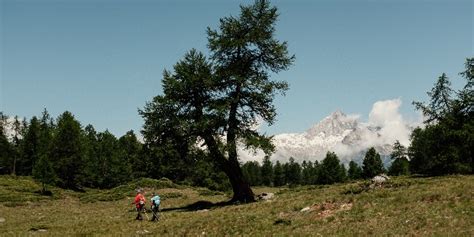 Moosalp Panoramaweg Hikes in the Moosalpregion Valais …