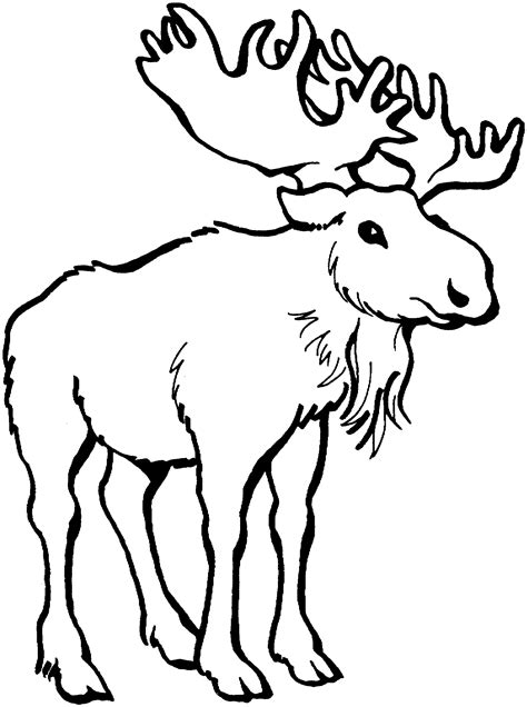 Moose Coloring Shee