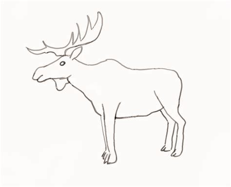 Moose Drawing Easy