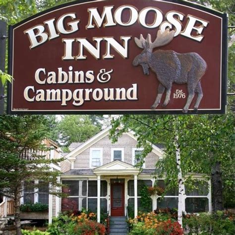 Moose inn. Things To Know About Moose inn. 