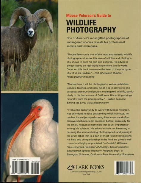 Moose peterson s guide to wildlife photography conventional and digital techniques a lark photography book. - Volvo trucks vn vhd service repair manual 1996 1997 1998 1999 2000 2001 2002 download.