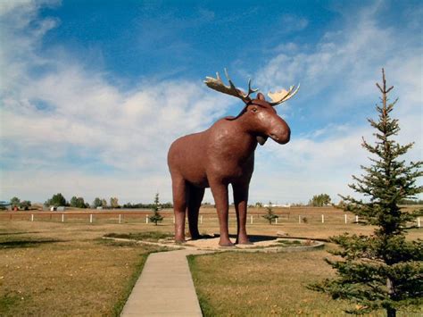 Moosjaw - Canada's Most Notorious City. City Government. Parks, Recreation & Culture. Moose Jaw Residents. Streets & Transportation. Planning & Development. Moose Jaw’s Economic Advantage.
