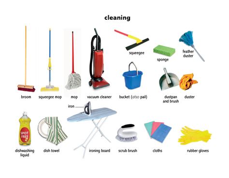 Mop - Definition, Meaning & Synonyms Vocabulary.com