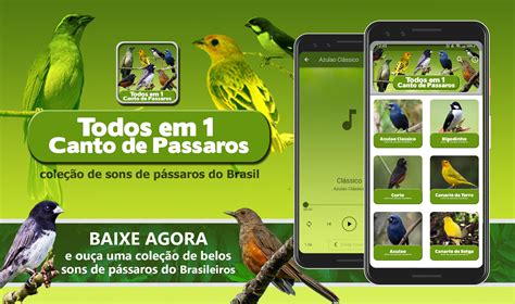 Morada Dos Pássaros APK Download for Android 
