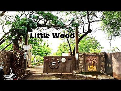 Morales Wood Video Nagpur