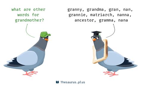 More 130 Grandmother Synonyms. Similar words for Grandmother.