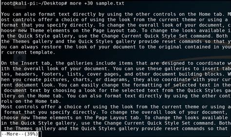 More Command Examples Options Switches and More 