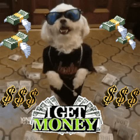 More Money GIFs - Get the best GIF on GIPHY