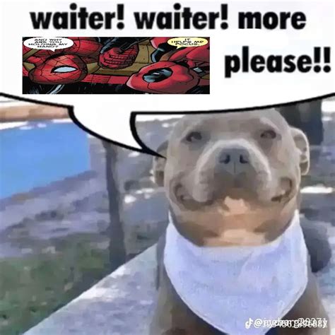 More Pls Onlyfans Leaked [HD] 💋 62 Videos