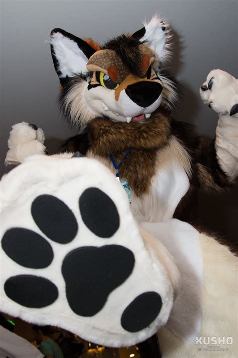 More Fur Less is a fursuit building business co-founded by Kishowolf and Sways and debuted in 2013. [1] References[ edit] ↑ Website up, new account, wahoo! 2013 January 28 post by Kisho to his journal at Fur Affinity. Retrieved 2015 June 9. . 