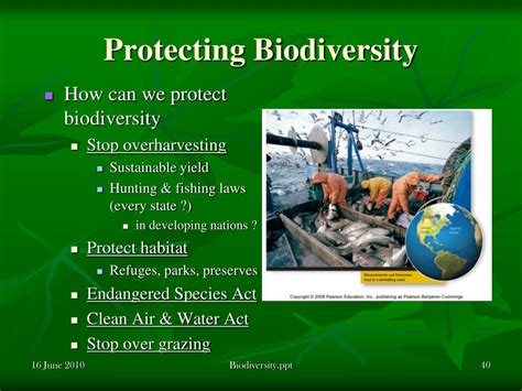 More needs to be done to protect biodiversity