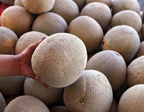 More salmonella cases, two deaths reported as cantaloupe recall expands