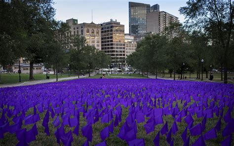 More than 22,000 purple flags on Boston Common, as Massachusetts officials recognize International Overdose Awareness Day