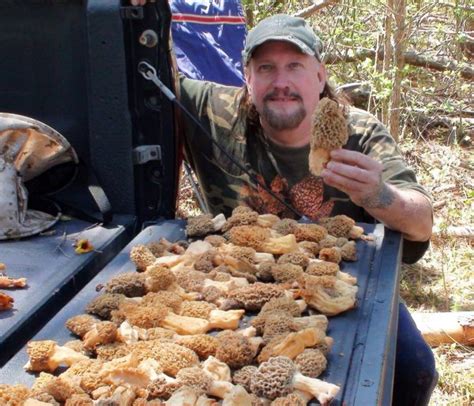 Morel mushroom festival 2023. 29 Dec 2022 ... MOREL MUSHROOM FESTIVAL ... Brown County State Park Nature Center hosts a fun day dedicated to the beautiful morels of spring! Along with morel ... 