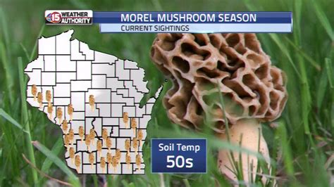 This map shows current Morel Mushroom Finds locations