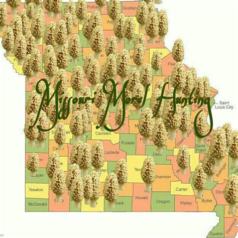 Morel mushroom missouri map. Fresh Frozen Morel Mushrooms. $49.99. quantity 1 lb. 1 lb. Add to cart. Our wild fresh frozen morel mushrooms are hand foraged here in the Great Northwest daily during their short spring season. The wild morel season typically starts in April and lasts until mid May or June. Our fresh frozen morel mushrooms are an excellent substitute when ... 