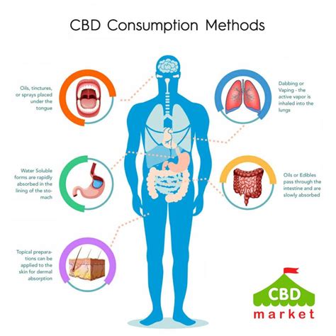 Moreover, the different routes of CBD administration may affect its bioavailability and absorption