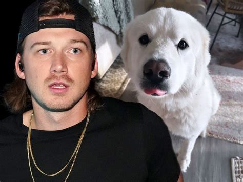 Morgan Wallen's 2-year-old son bitten in the face by dog
