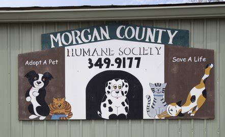 Morgan county humane society. We are currently offering Doggy Day Out Saturday and Sundays! If you have time between 10am-3:30pm, need a furry face for those Zoom meetings, or a walking buddy or lunch pal, we have a perfect match. You can take your doggy friend home (if you have no other pets) or take them out on the town. Popular activities include: walks/hikes, trips to ... 
