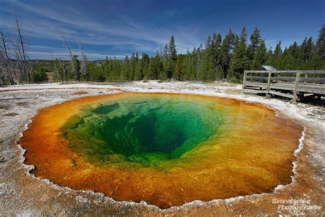 Morning Glory Pool Yellowstone NP Wyoming - Synnatschke