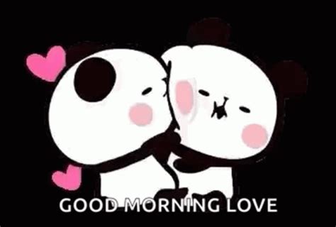 Download Morning Cuddle Kiss GIF for free. 10000+ high-quality GIFs and other animated GIFs for Free on GifDB. . 