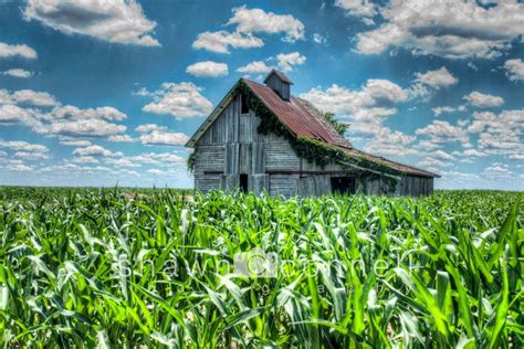 Morning on the Farm - Etsy