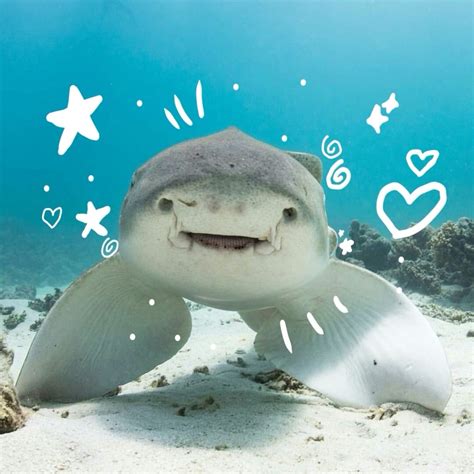 Moroccanmermaid Leaked 🍆 [HD]