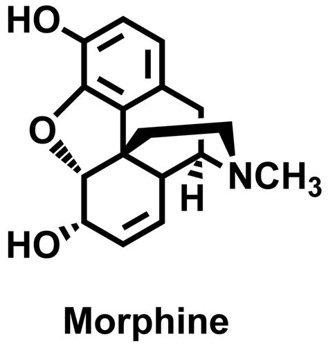 Morphine Onlyfans Leak