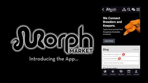 Creation Collective on MorphMarket is owned by Marks Meeke & Cheryl Otto and located in Tampa, Florida. . Morphmarket