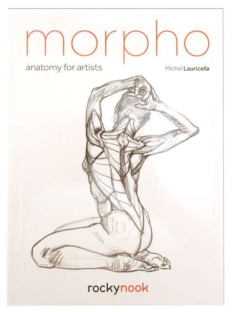 Morpho anatomy for artists. It’s hard to underestimate the importance of the spine in your overall anatomy. Learn about the different parts of the spine so you understand how it’s designed and how it function... 
