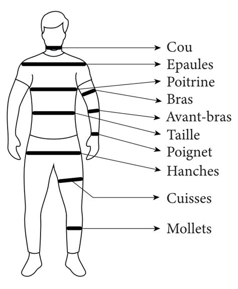 Morphologie homme calcul