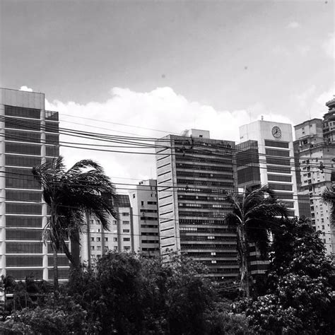 Morris Hill Instagram Sao Paulo