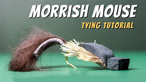 Morrish Mouse Fly Pattern (Tying Tutorial) YouTube