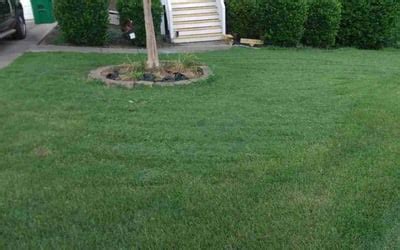 Morristown Lawn Care Lawn & Landscaping Chucks Plant Health …