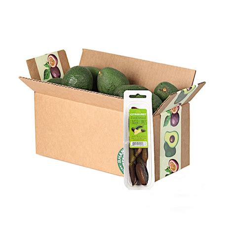 Morro Bay Avocados + Finger Lime Box – Shanley Farms