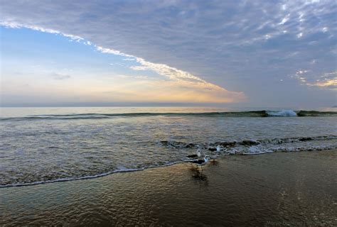 Morro Strand State Beach - Dog Friendly Beach in Morro Bay, …