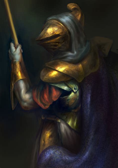Morrowind:Chrysamere. The Paladin's Blade is an ancient claymore with offensive capabilities surpassed only by its own defenses. It lends the wielder health, protects him or her from fire, and reflects any spells cast against the wielder back to the caster. Seldom has Chrysamere been wielded by any bladesman for any length of time, for it ... . 