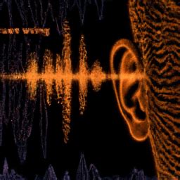 Morse code tinnitus.  This tinnitus variant, characterized by a rhythmic, clicking or tapping...